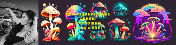 индика Баксан