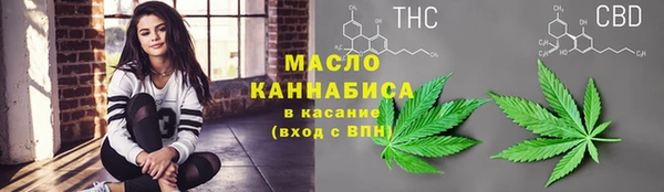 индика Баксан