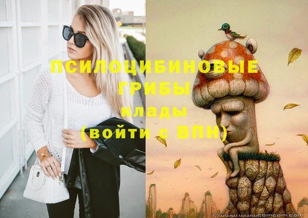 индика Баксан