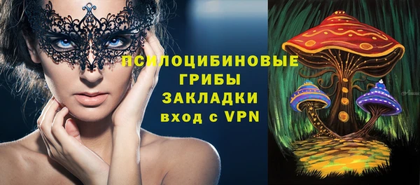 индика Баксан