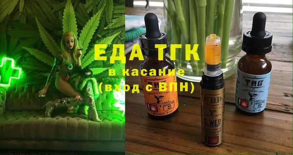 индика Баксан