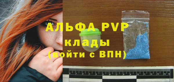 индика Баксан