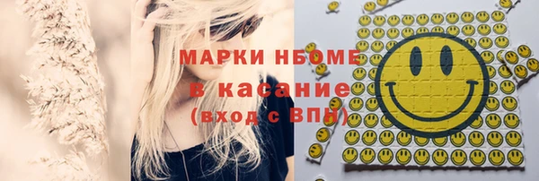 индика Баксан