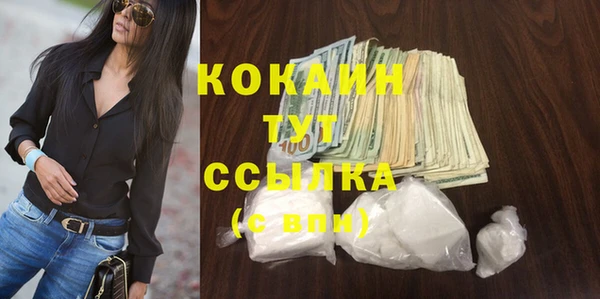 индика Баксан