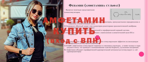 индика Баксан