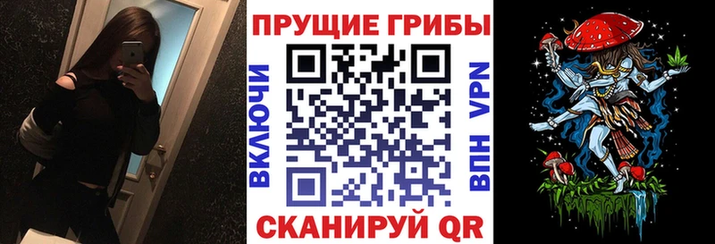 Галлюциногенные грибы Psilocybe Суджа